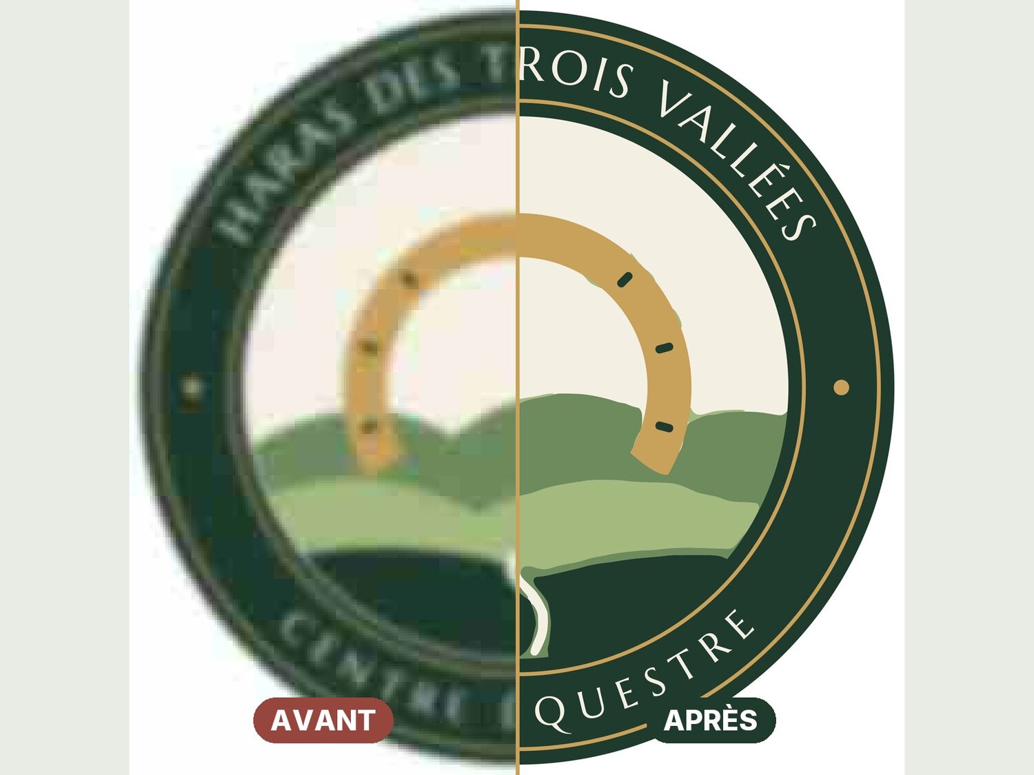 Vectorisation de logo — haras